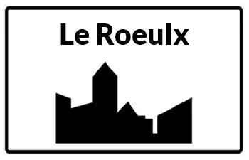 SereniMove - Votre déménageur à Le Roeulx
